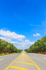 Fototapeta premium country side road