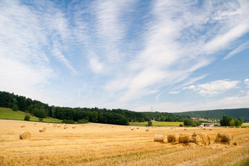 Fototapeta premium Sommerfeld mit Strohballen