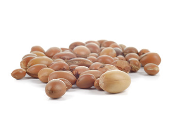 Group of argan nuts on white background.