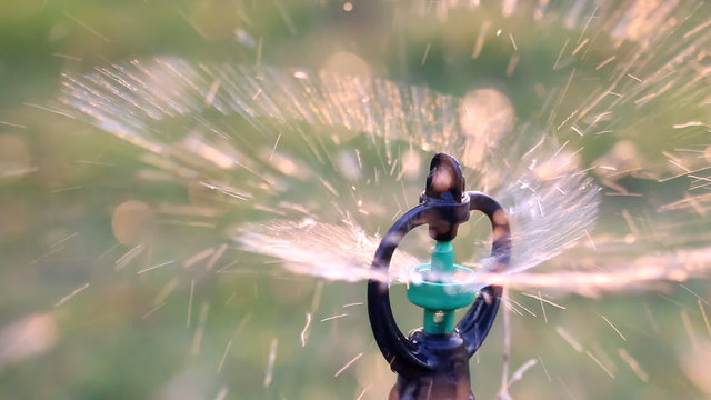 Close up water sprinkler spray watering