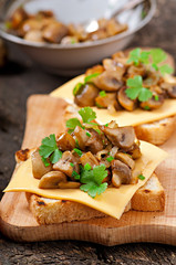 Toast sandwich with mushroom, cheese and parsley,selective focus