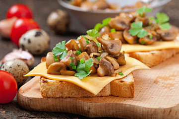Toast sandwich with mushroom, cheese and parsley,selective focus