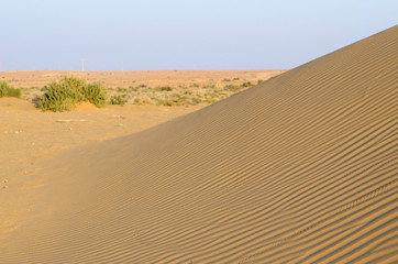 Beautiful dunes of Thar desert during sunset,Rajasthan,India
