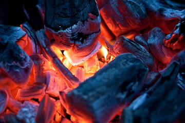 Burning campfire embers (hot coal)