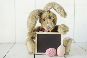 Easter Bunny Themed Holiday Occasion Image