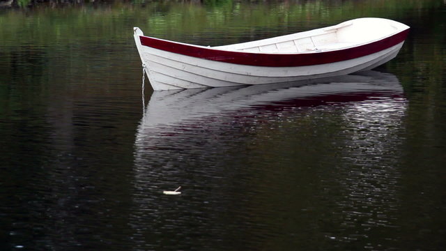 Leaf floating near the row boat