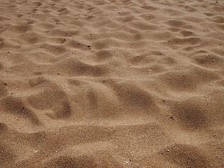 Maui Beach Sand