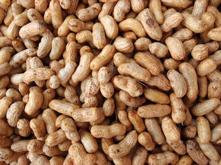 Many peanuts in shells for sale at Farmers Market