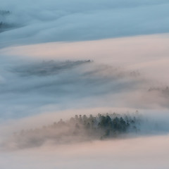 Obraz na płótnie Canvas mountain landscape with fog and trees