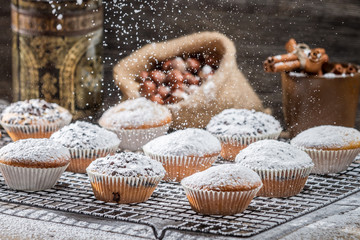 Vanilla muffins decorated with powder sugar