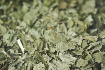 Green tea