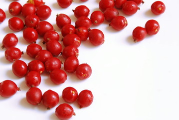 Palm fruits authentic fruits of Asia