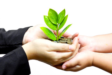 hands holding tress growing on coins with kid's hands / csr