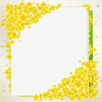 菜の花 カード