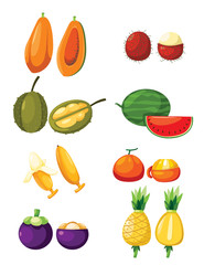 set of tropical fruits