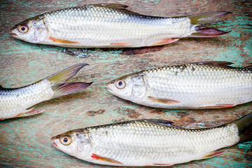 fish on wooden background, fish over natural wood background