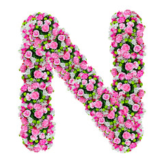 N, flower alphabet isolated on white with clipping path