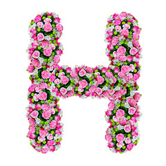 H, flower alphabet isolated on white with clipping path