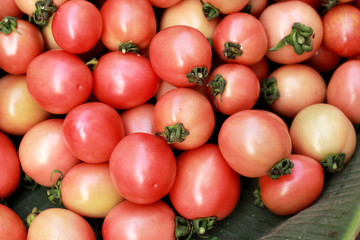 Fresh tomatoes in the market