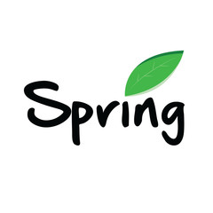 Spring leaf