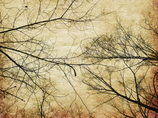 Grunge bare trees silhouettes