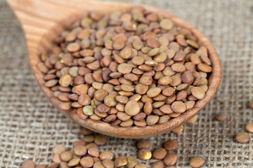brown lentils in a wooden spoon