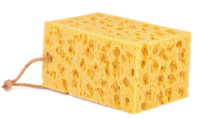 Yellow Sponge