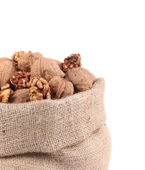 Close up of full bag with walnuts.