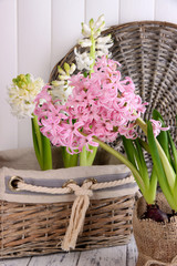 Hyacinth in pot with wicker stand on table on wooden background
