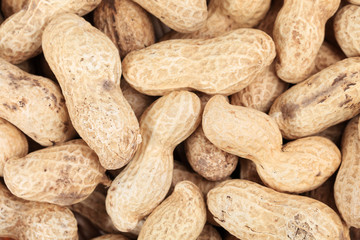Close up of peanuts bunch.