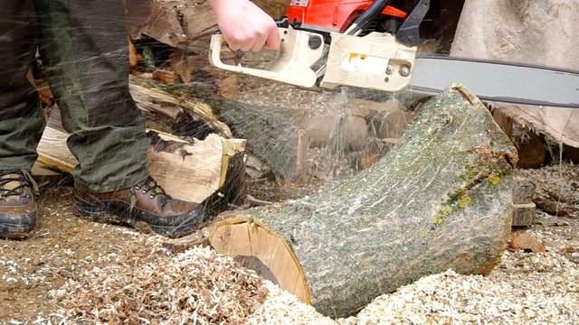 Chainsaw cutting wood in the yard of the house