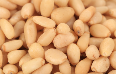 White pine nuts close up.