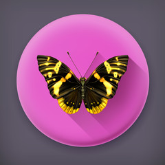 Butterfly, long shadow vector icon