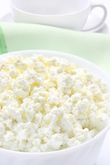 Fresh cottage cheese in bowl