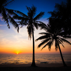 Obraz na płótnie Canvas Beautiful sunset at tropical beach with palm trees