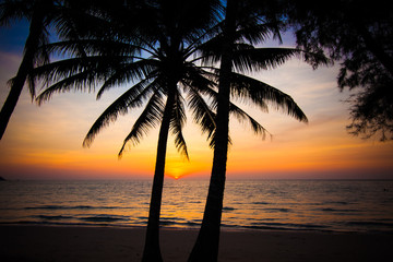 Naklejka na ściany i meble Beautiful sunset at tropical beach with palm trees
