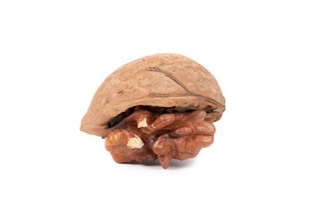 Close up of fresh walnut.