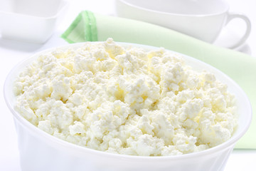 Fresh cottage cheese in bowl
