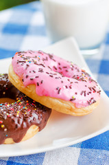 Fresh donuts and glass of milk on nature background