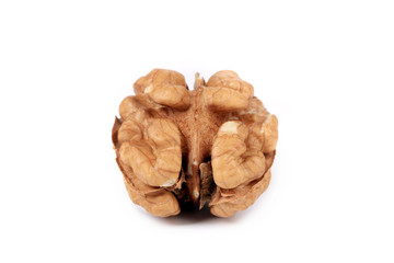 Close up of kernel walnut.