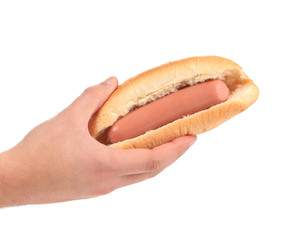 Hand holds hotdog.