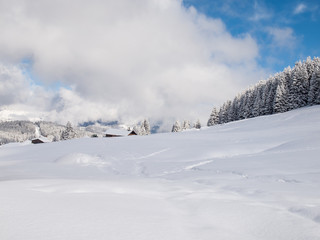 Snow Covered Alpine Meadow