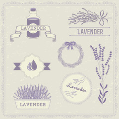 Lavender herb flower, floral vintage background