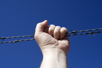 barbed wire fist