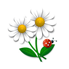 Vector flowers with ledybug