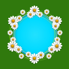 Floral background with daisy