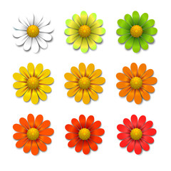 Vector flowers
