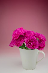 カーネーション