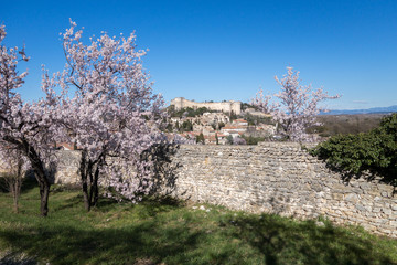 Paysage de provence