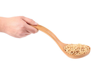 Hand holding pine nuts in spoon.